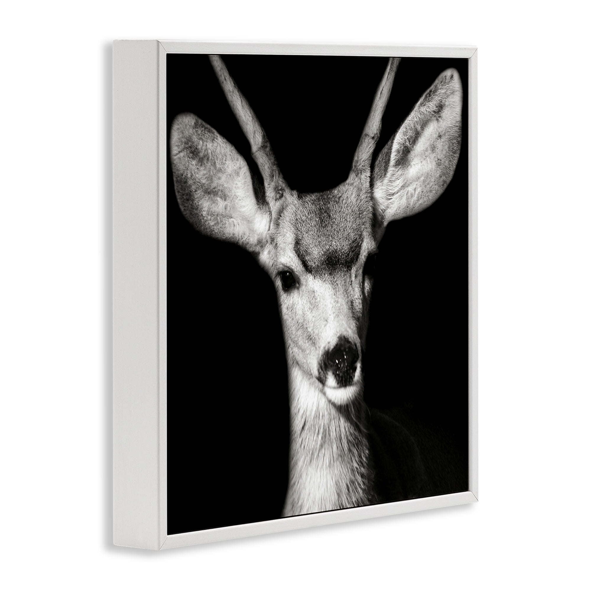 Stupell Industries Gazing Deer Portrait Animals & Insects Photography White Framed Art Print Wall Art, 24 x 24