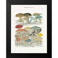thumbnail image 2 of Wild Apple Portfolio 11x14 Black Modern Framed Museum Art Print Titled - Funghi Italiani II, 2 of 5