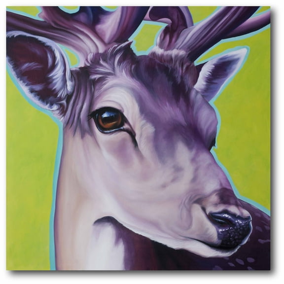 Green Deer Gallery-Wrapped Canvas Wall Art, 16x16