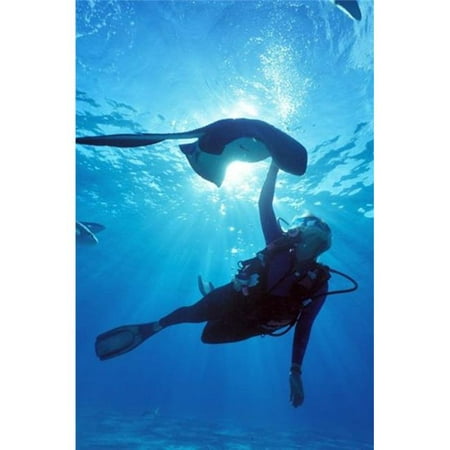 Posterazzi PDDCA42GJO0107 Snorkeling Stingray City Grand Cayman Caribbean Poster Print by Greg Johnston - 17 x 26 (Best Snorkeling Spots In Grand Cayman)