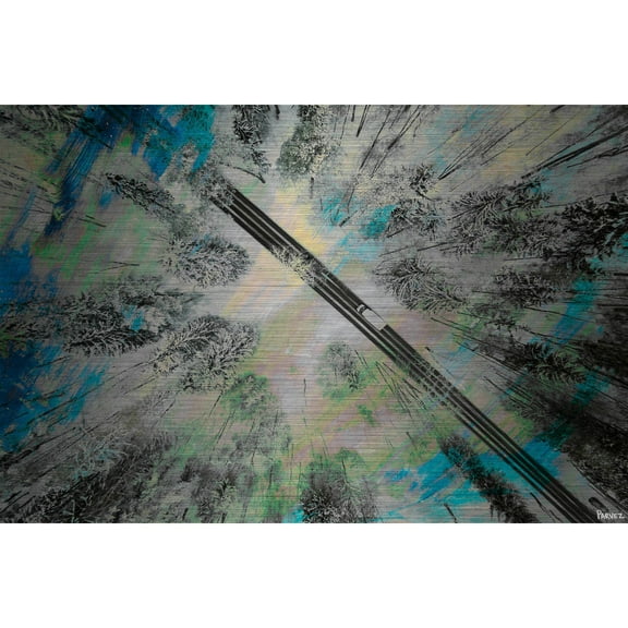 "Lighted Forest" Painting Print on Brushed Aluminum