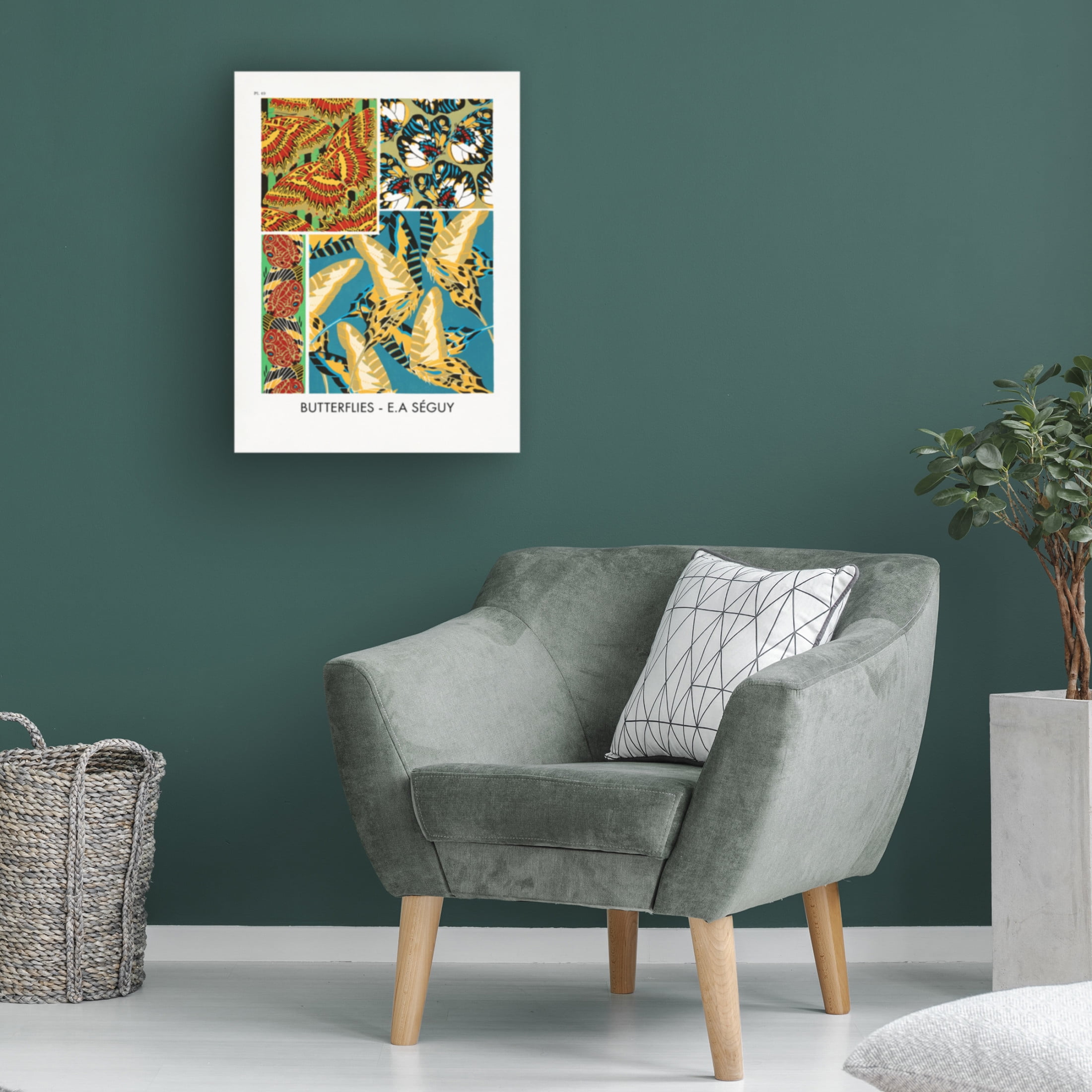 Trademark Fine Art Pictufy Butterflies 19 Canvas Wall Art
