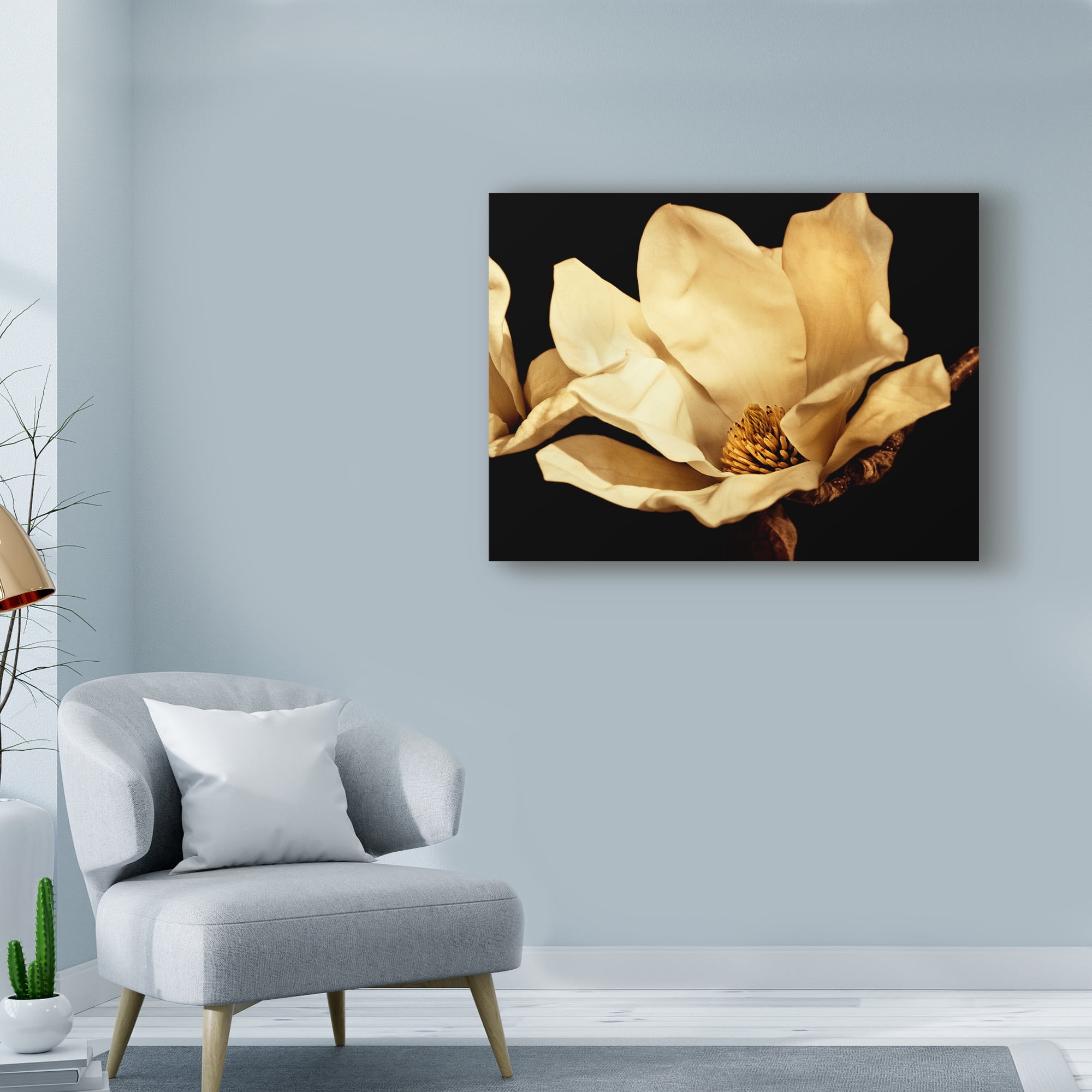 Trademark Fine Art 'Buttercream Magnolia I' Canvas Art by Rachel Perry