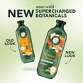 thumbnail image 4 of Herbal Essences Hydrate + Restore Honey Sulfate Free Conditioner, 13.5 fl oz, 4 of 13