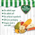 thumbnail image 3 of Baby Gourmet Organic Roasted Squash & Fruit, 3 of 6