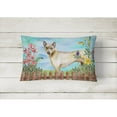 thumbnail image 2 of Carolines Treasures CK1242PW1216 Thai Ridgeback Spring Canvas Fabric Decorative Pillow  12H x16W multicolor, 2 of 3