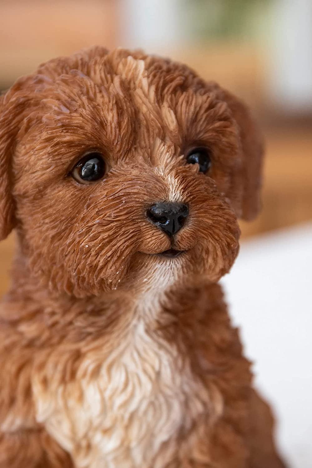 Chocolate Cavapoo Unique Chocolate Merle Cavapoo With Tan Points