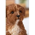 thumbnail image 3 of Hi-Line Gift 6.4" Baby Cavapoo Polyresin Figurine, 3 of 6