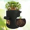 thumbnail image 3 of Amdohai Potato Growing Bag Felt Thickened Planting Grow Pouch Garden Vegetables Planter Containers with Handles & Window, 3 of 8