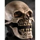 Zagone Studios M6002 Masque d'Halloween de la Mort – image 1 sur 9