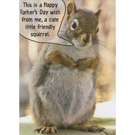 RSVP Wish from Me a Cute Little Friendly Squirrel Funny Father s Day Card