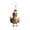 A, variant on BNNG Fashion Forward Student Earrings Acrylic Charm Cute Chicken Hen Rooster Earrings Drop Dangle Jewelry For Women Girls Funny Party Gifts Cz Stud Earrings Chic And Sophisticated Ear Studs