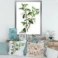 thumbnail image 3 of Designart 'Ancient Green Leaves Plants VII' Traditional Framed Art Print, 3 of 4