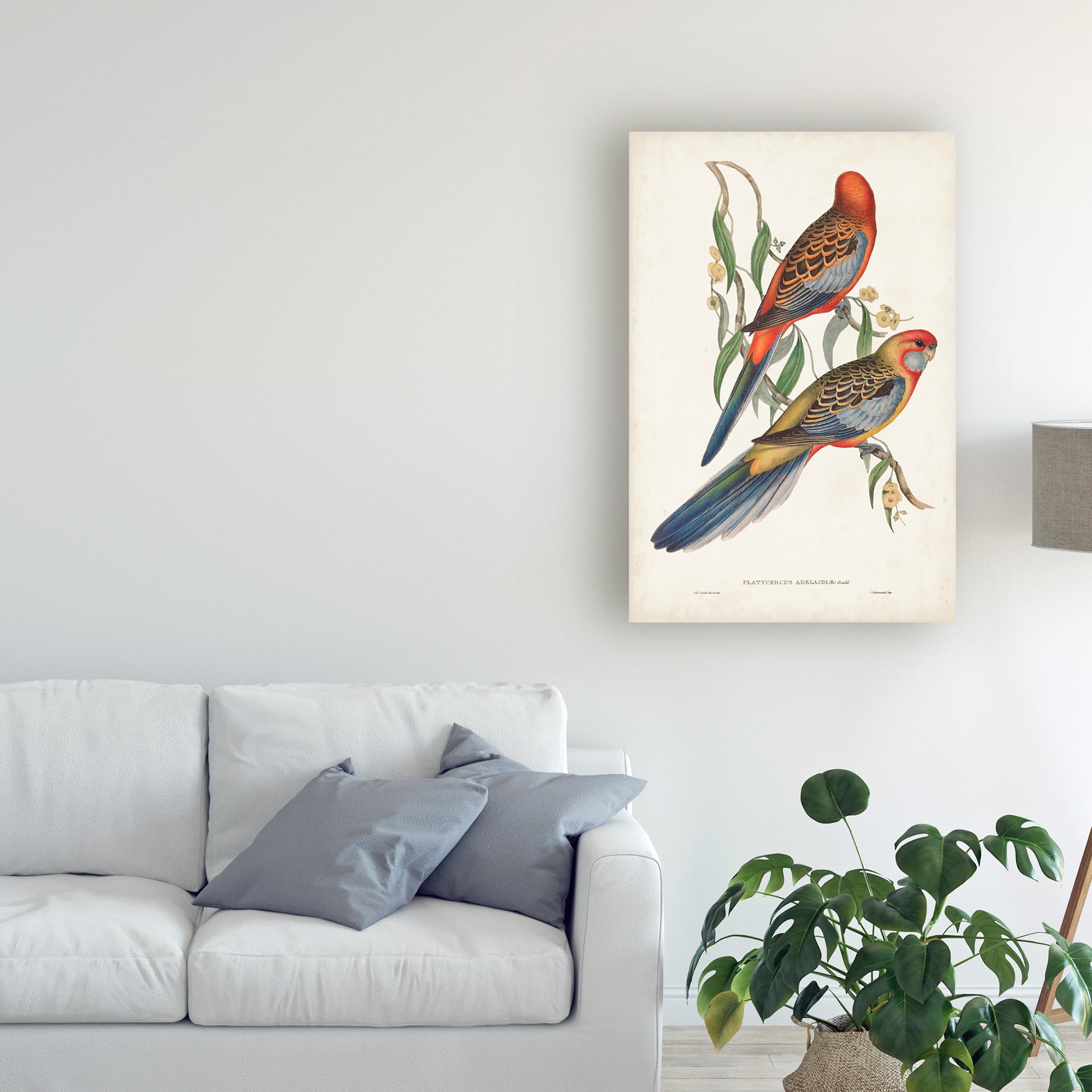 Trademark Fine Art 'Tropical Parrots II' Canvas Art by John Gould