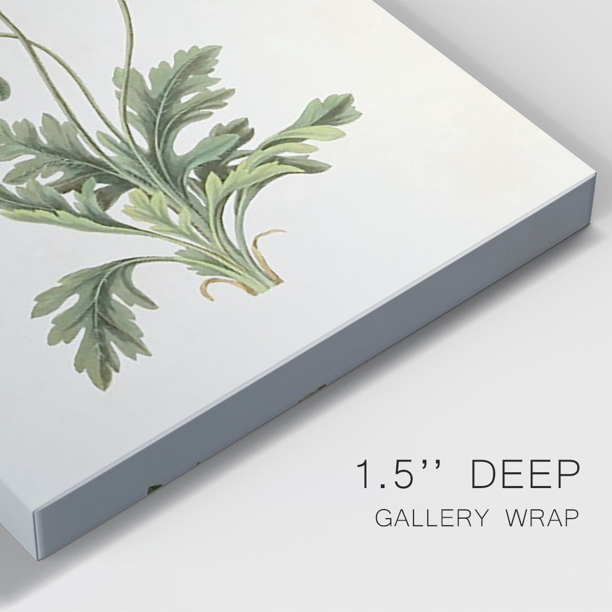 Flowers of the Seasons XII Premium Gallery Wrapped Canvas - Ready to Hang