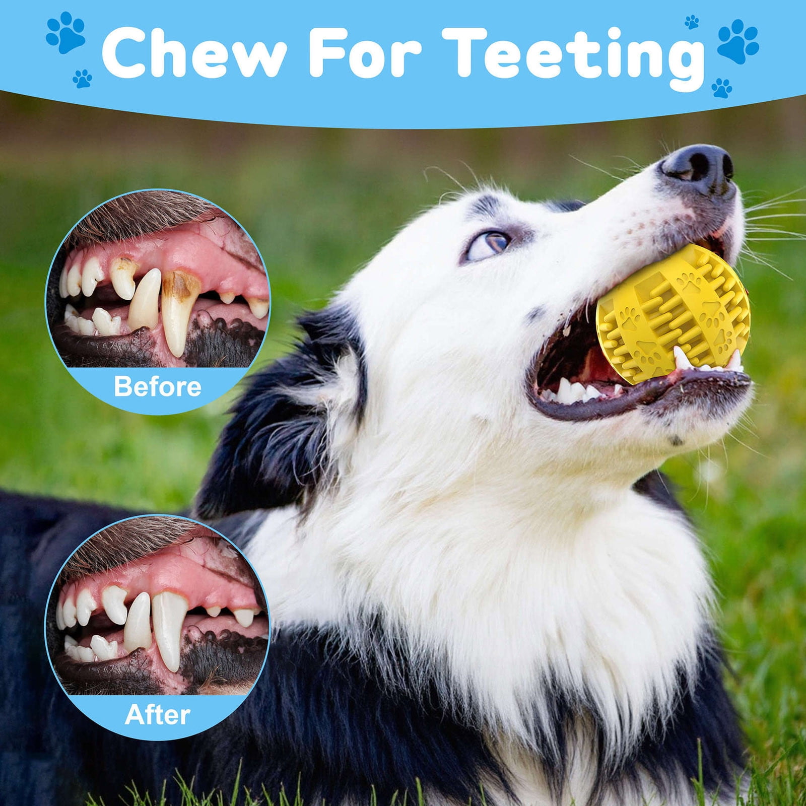 2025 Interactive Dog Toy Large Pet Sports Self Activating Bouncing Jumping Rolling for