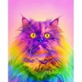 thumbnail image 1 of Cuadros Decorativos Kits de pintura de diamantes DIY de gato colorido, cuentas cuadradas completas, mosaico, decoraciones para el hogar Ehuebsd Nuevos Originales, 1 of 5