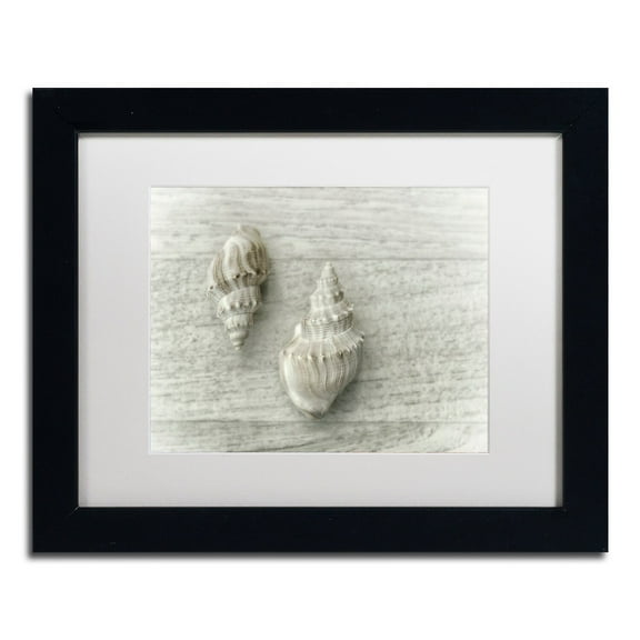 Trademark Fine Art 'Two Cancellaria Shells' Canvas Art by Cora Niele, White Matte, Black Frame
