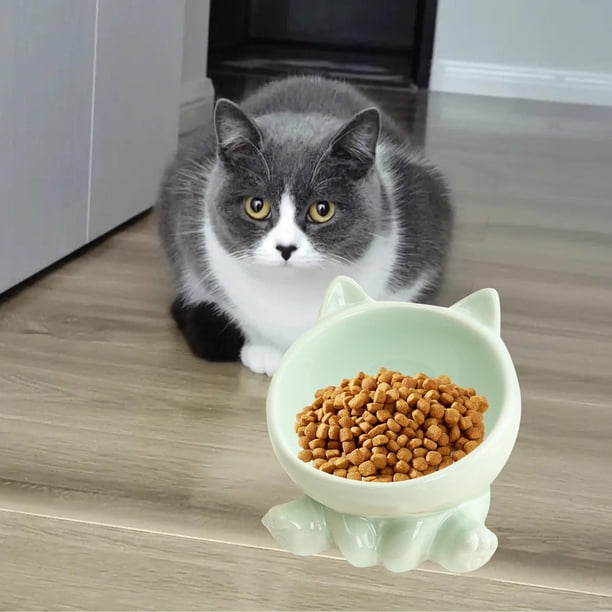 Cuenco alimentador de cerámica para gatos, plato para beber, accesorio antideslizante, suministros de alimentación para gatos, contenedor de alimentos verde