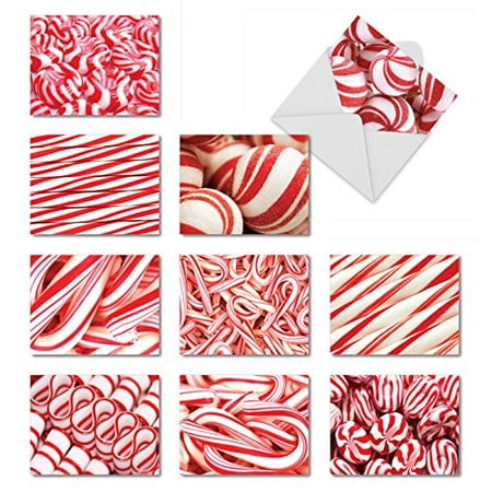 'M6000 HOOKED ON CANDY' 10 Assorted All Occasions Greeting Cards Featuring Images Of Candy Canes And Other Delectable Holiday Treats with Envelopes by The Best Card