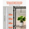 thumbnail image 3 of VEVOR Plant Shelf with Grow Light, 4-Tier Indoor Plant Stand, 59in Tall Plants Display Rack, 90W 3-Color Full Spectrum Grow Lights, 3 of 9