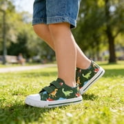 EUXTERPA Kids Dinosaur Canvas Shoes Boys Casual Walking Sneakers with Hook and Loop Toddler Size 5