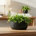 thumbnail image 5 of Jewel Ceramic Low Oval Pot with Embossed Lattice Design, 5 of 9