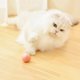 thumbnail image 5 of Pelota Eléctrica para Gatos Kuymtek Juguete Rodante Automovible Rosa, 5 of 8