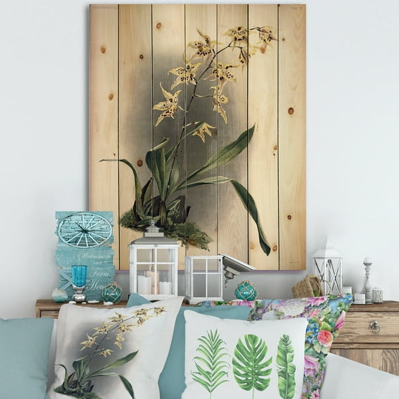 Designart 'Ancient Orchid Flower' Traditional Print on Natural Pine Wood