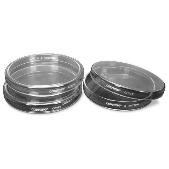Corning Petri Dishes, 100 x 20 mm, Pack of 12