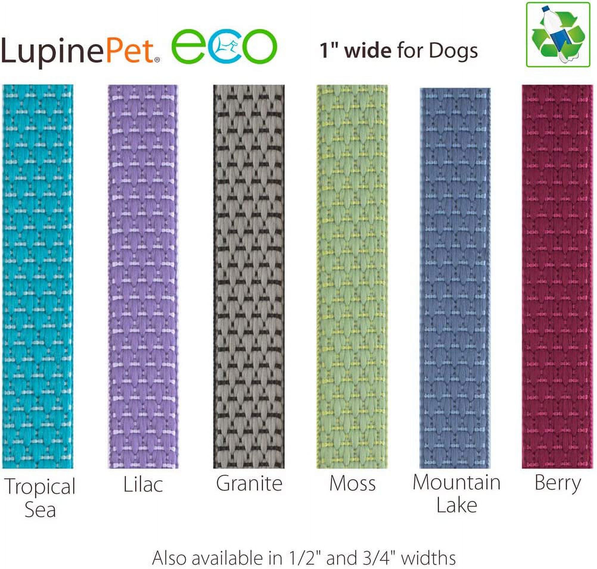 1in Tropical Sea 6ft Dog Leash