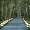 thumbnail image 2 of VictoryStore Halloween Skulls Yard Decorations Set, Set of 36 W/ 36 Short Stakes, 2 of 7