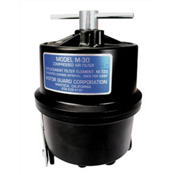 1/4” NPT SubMicronic Compressed Air Filter Motor Guard M30 MOT