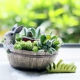 thumbnail image 2 of Cubeta Cama de Sedum Conejo Artificial gris Sunnimix Maceta suculenta, 2 of 8
