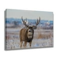 thumbnail image 2 of Póster de lienzo con un alce macho en un campo nevado, decoración para dormitorio, paisaje deportivo, decoración para oficina, regalo, estilo marco, 20 x 30 cm, 2 of 8