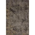 thumbnail image 1 of LR Resources IMPLS81853PBG7696 Tapis Rectangulaire Contemporain à Motifs Abstraits, 1 of 1