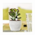 thumbnail image 5 of 8-Piece Water Level Indicator for Indoor Plant Pots, Ideal for Gardening Enthusiasts, 5 of 5