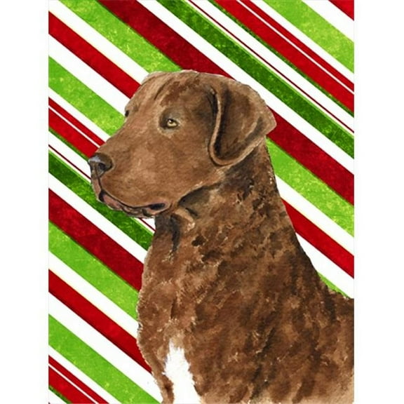 11 x 15 In. Chesapeake Bay Retriever Candy Cane Holiday Christmas Flag, Garden Size