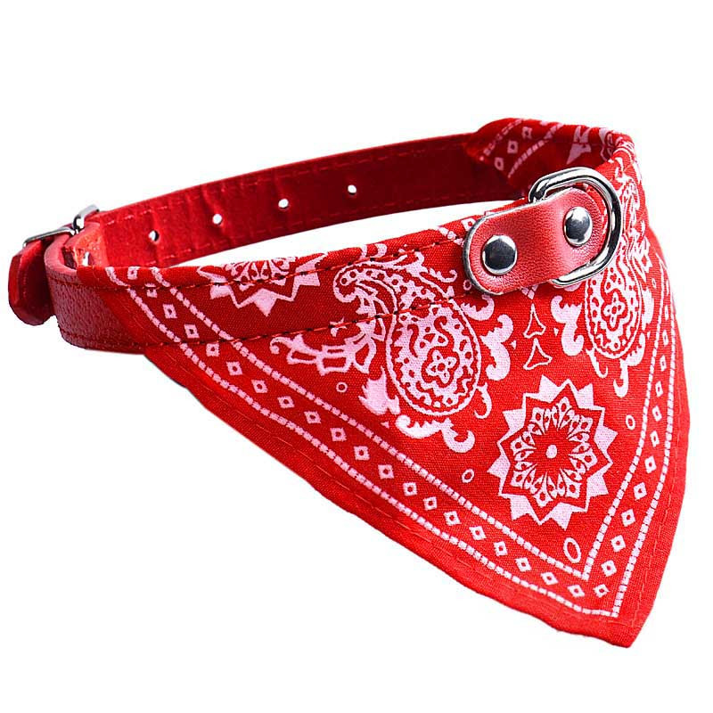 Bandana collar Outlet