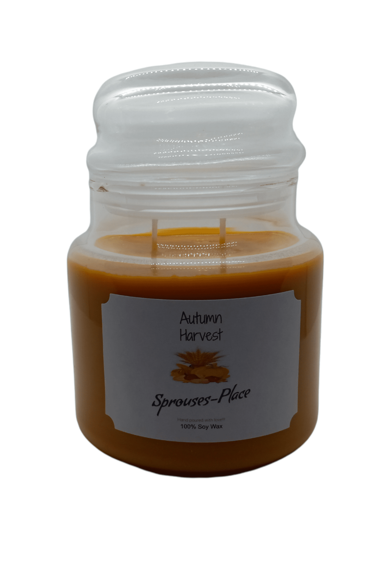 Sprouses Place Autumn Harvest Scented Jar Candle Double Wick