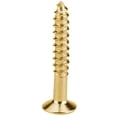 thumbnail image 1 of Tornillo de pastilla ANGGREK 40 piezas de guitarra estándar color Plata Negro Dorado, 1 of 8