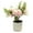 Light Pink, variant on Visland Artificial Flower, Artificial Flower Plant Bonsai, Artificial Flower with Pot