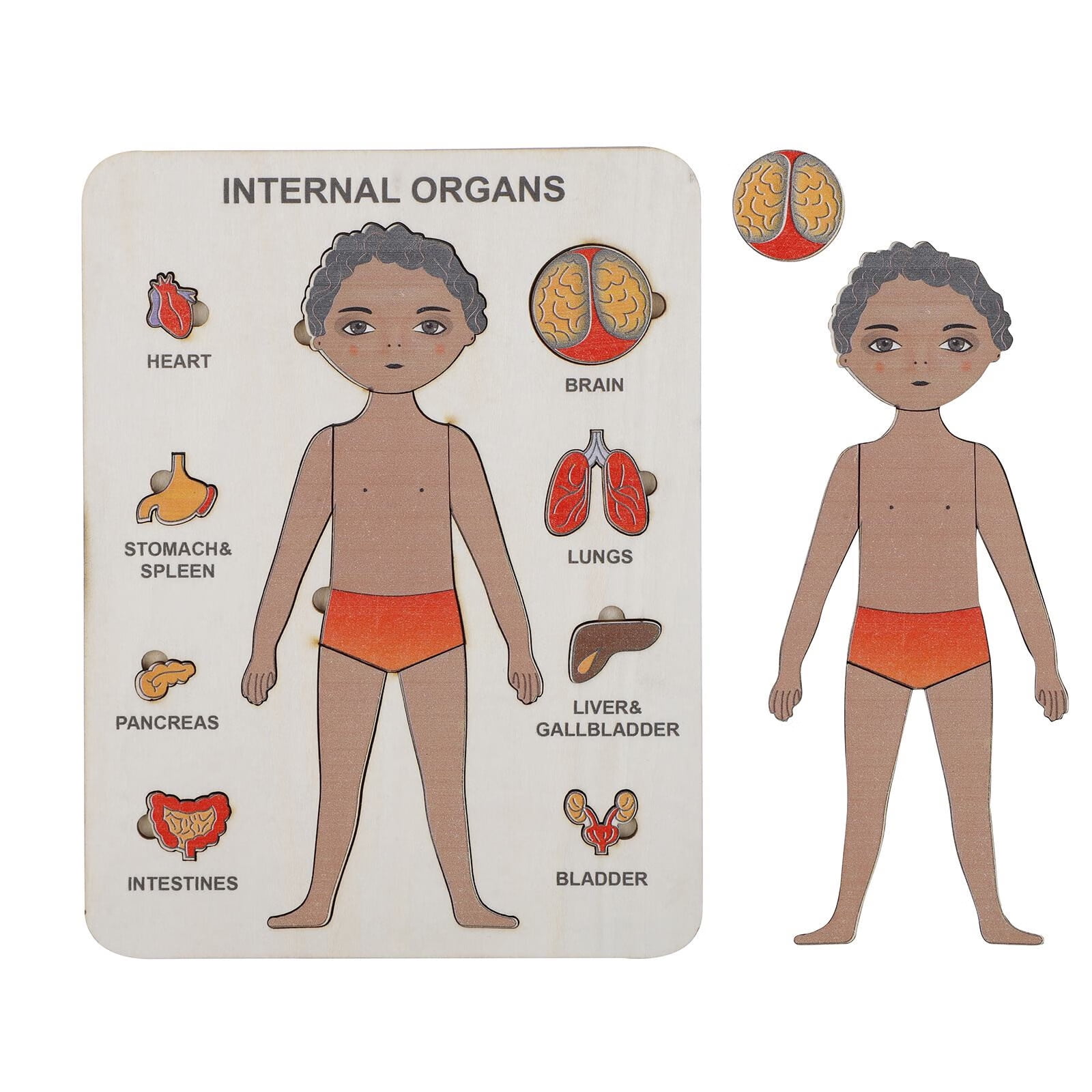 Plutyo Human Body Wooden Internal Organs Montessori Anatomy Game