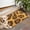Yellow and Brown, variant on Beige and Black Leopard Pattern Door Rugs,Washable Non Slip Door Mats Indoor,Decorative Door Mats,Entry Mat Indoor for Entrance,Bedroom,Kitchen,Bathroom,17"x30"