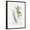 Black Frame, variant on Art.com Bay Leaf and Juniper Art Print by Elissa Della-piana, Brown Frame Wall Art, 17" x 21"