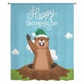 thumbnail image 2 of Happy Groundhog Day Sheer Curtains 108" Extra Long, Cartoon Ground Hog Hole Blue Sky Country Light Filering Curtains, Privacy Drapes Simi Floor to Veiling Curtain for Living Room Window Treatment, 2 of 9