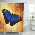 thumbnail image 1 of ABPHQTO Cortina de ducha Bokeh Blue Morpho Butterfly Insect Tropical Wildlife Sapphire Wings 160x180 cm, 1 of 1