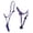 Purple/Black, variant on Nylon  Horse Braided Rope Noseband Halter w/ Lead Rope Purple 606EA02PR