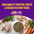 thumbnail image 3 of Wellness Complete Health+ Small Breed Adult Dry Dog Food with Freeze Dried Wellbites, Wholesome Grain Kibble+, Natural, Turkey and Oatmeal Recipe, 10.5 lb Bag, 3 of 9