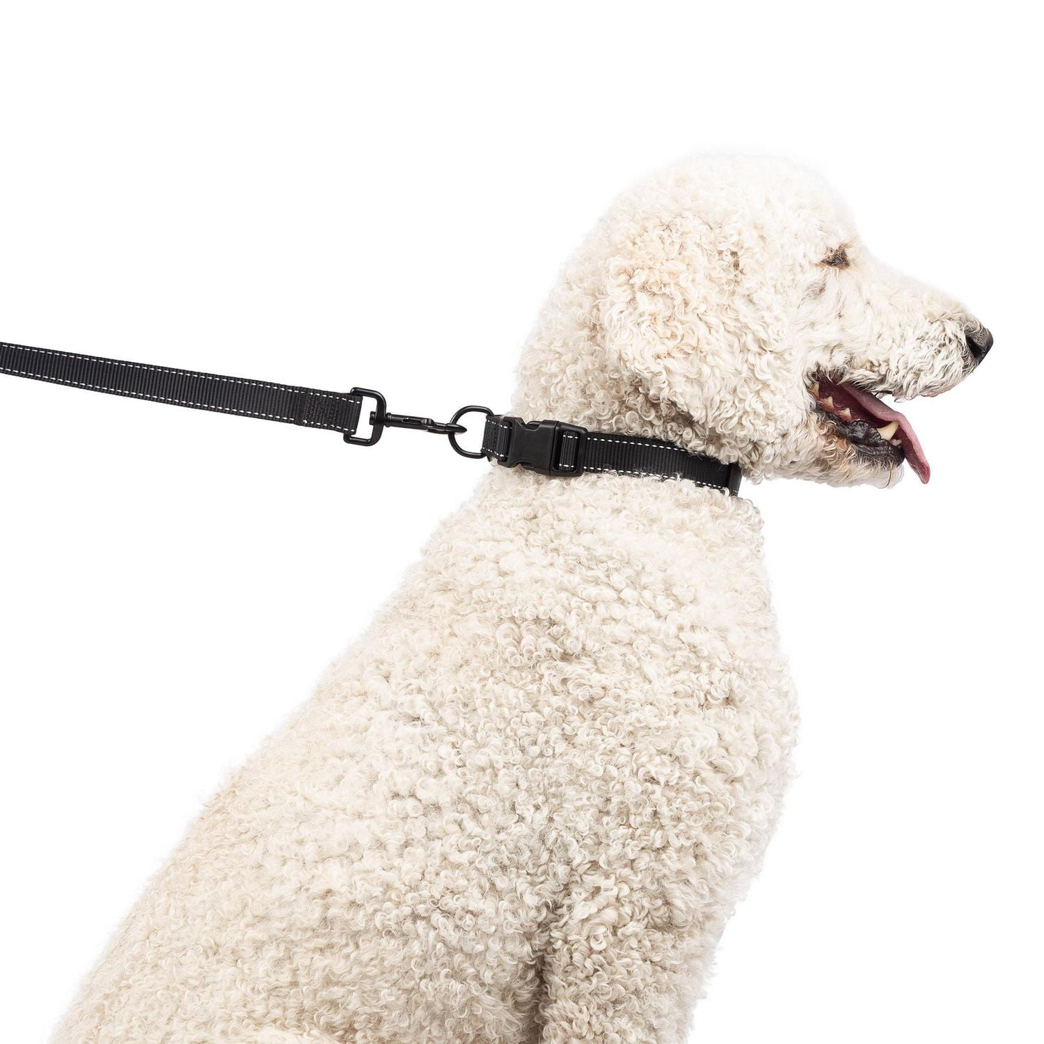 One Paw, laisse en sangle pour chien